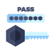 API Key
