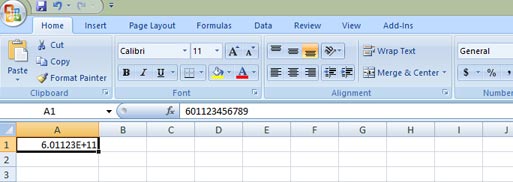Phone numbers shown as E+11 scientific notation in Excel.